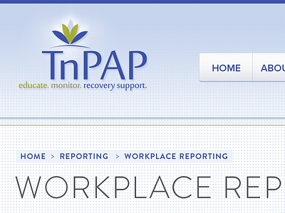 TnPAP 1 ui web design