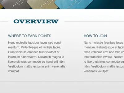Overview layout type typography
