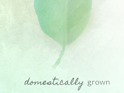 KOA Organic Water illustration web