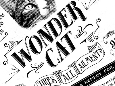 Wonder cat v2 cat ephemera poster screenprint typography vintage