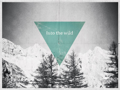 Into The Wild bw design nature