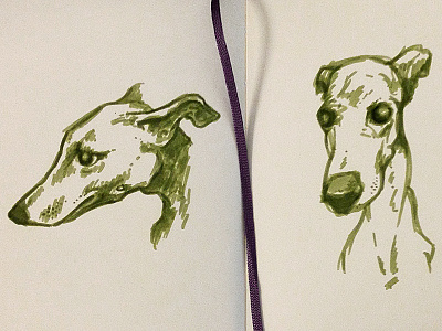 Wheaton - Unicorn Protector childrens story dog illustration sketches unicorns whippet