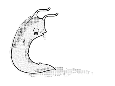 Mr Slug thursday press zine