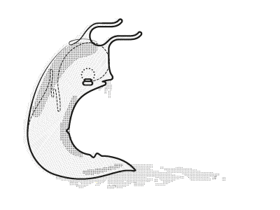 Mr Slug thursday press zine