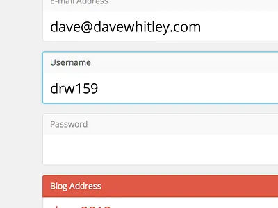 Form Fields error field form signup