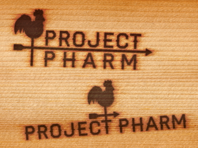 Logo Concepts farm haymaker logo pharma weathervane