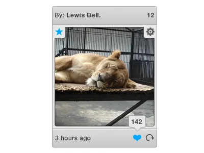 Shared link photo shared social