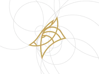 Secret project branding project secret