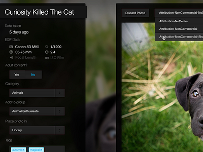 Photo Uploader UI contrast dark photo photo uploader ui white on black
