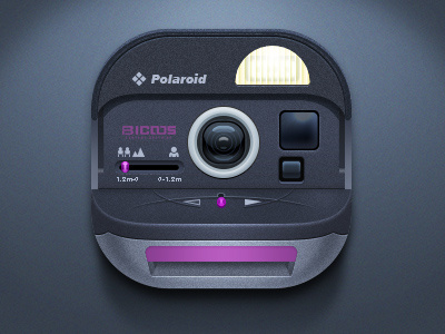 Pailide camera icon ui