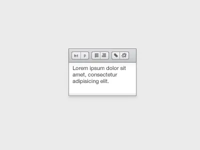 WYSIWYG edit icon icons illustration lorem ipsum