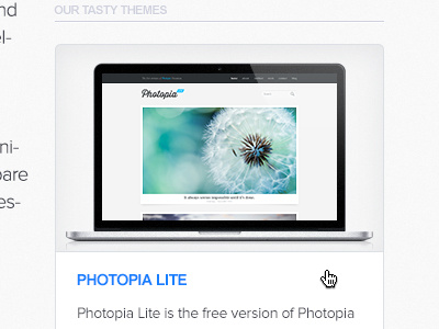 Photopia Lite ~ FREE WordPress Theme free freebie lite photopia theme themecobra wordpress