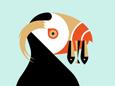 Tufted Puffin bird fish illustration puffin