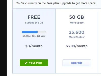 Snapjoy Billing Interface billing payment plan ui web