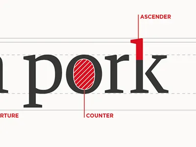 Anatomy ascender counter poster typography