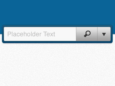 Search Box drop down form gif search text input