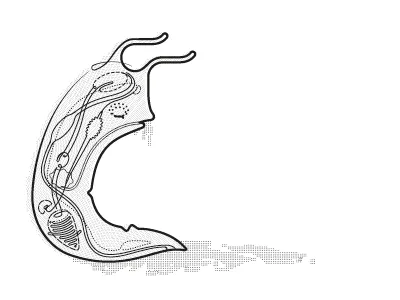 Mr Slug brown bread thursday press zine