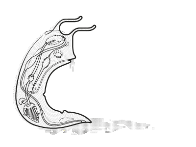 Mr Slug brown bread thursday press zine