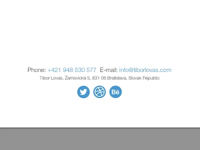 Footer clean footer icons