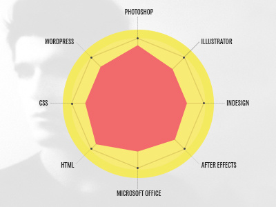 Skill Infographic chart chartwell cv infographic skills