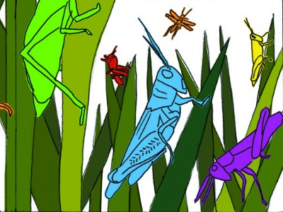 Spring Fling 2013 brochure cover rough collage grass grasshoppers