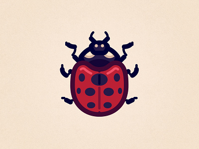 Ladybug bug illustrator insect ladybug minimal vector