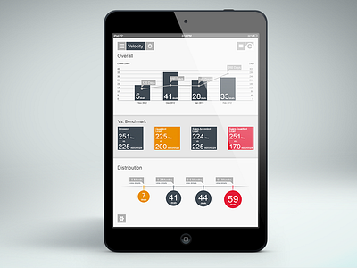 Velocity app chart graph infographic ipad