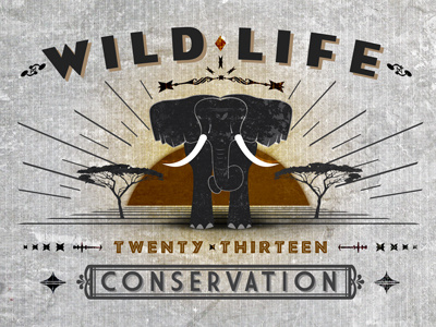 Wildlife Conservation 2013 _V.2 cause for the