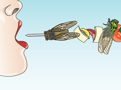 Edible Insects illustration insects skewer yummy