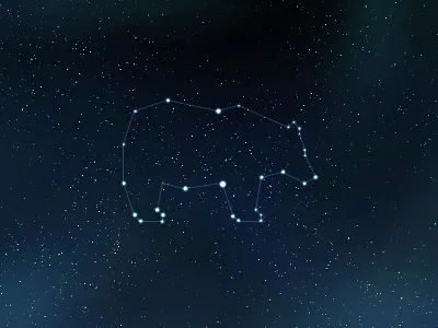 Launched! bear constellation gridzzly launched space space art star