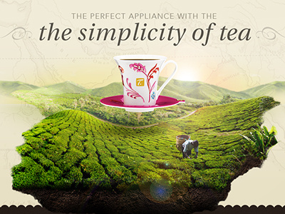 Special T - Redesign marketing realism redesign website