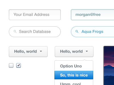 Aqua Frogs clean fields inputs jam sandwich kit ui white