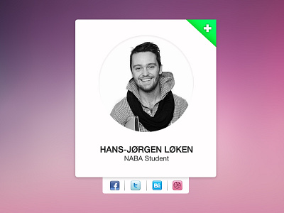 Profile Widget behance card design dribbble facebook follow media profile social twitter ui web widget