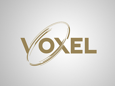 Voxel logo voxel