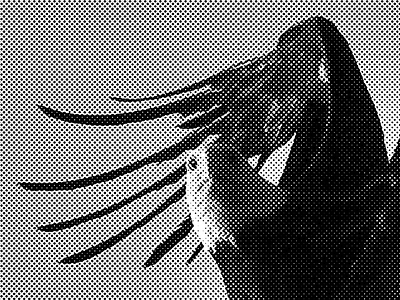 Eagle! black white eagle halftone murica