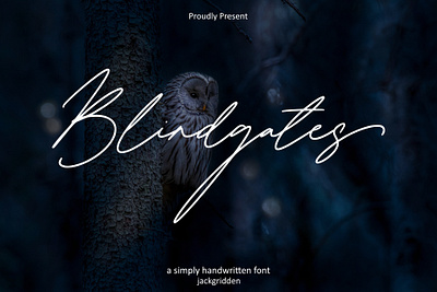 Blindgates Handwritten Font blind blindgates branding design font gates graphic design illustration logo monoline script