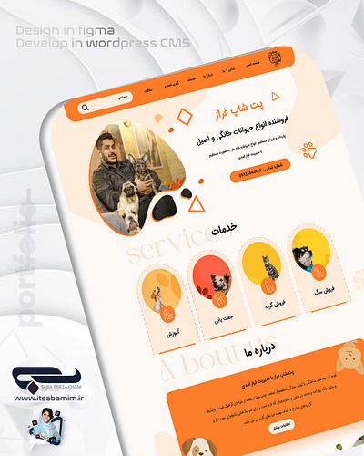 Web Design Pet shop branding pet petshop ui ui design web design web designer