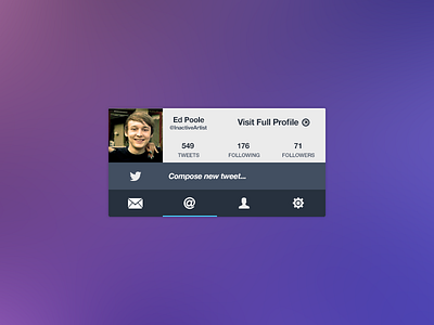 Twitter Interface Rebound mini profile twitter ui ux widget