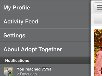 AdoptTogether Left Drawer app drawer gray ios navigation