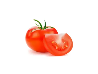 Vector Tomato food icon illustration plant red tomato vector vegetable web