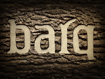 Logo: Barq barq barqvideo carved carving logo natural nature rough tree woodcarving