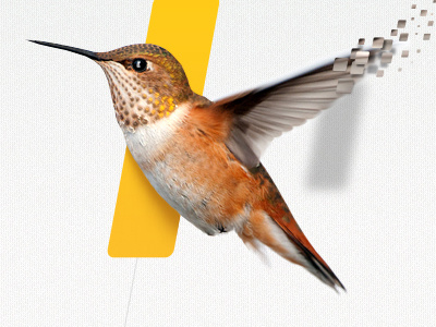 Navitrio art ... It's all about the pixel :) art bird boutique concept decomposition deiner details diagonal digital dray dynamic erik exclusive holding hypera ilan illustration inkod invest linear matrix navigate navitrio pixel pixels success yellow