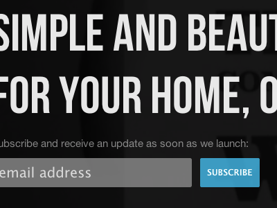 Newsletter Subscription form newsletter worthy