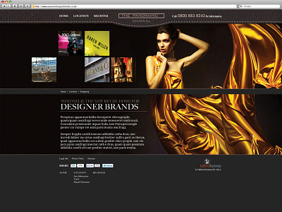 The Panoramic Website web design web development