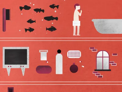 F & Z book cover design fish hairbrush illustration television window