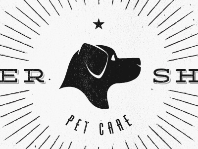 Buster Shuffle Pet Care Logo branding design dog logo minimal print vintage