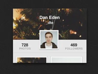 Instawidget [CSS] css helvetica html instagram playoff profile rebound widget