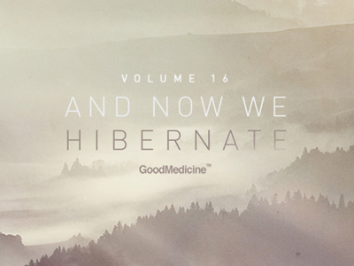 GoodMedicineVol16 album art landscape minimal winter