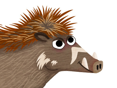 Visayan Warty Pig boar illustration pig