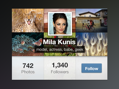 Instawidget buttons helvetica instagram photos ui ux widget